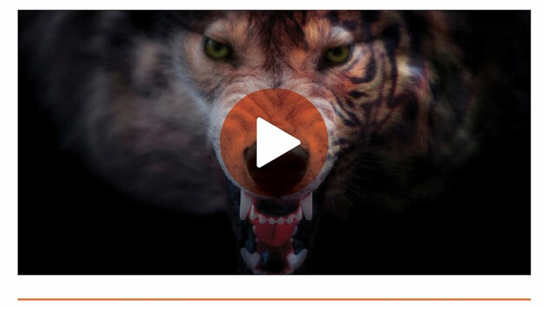 Man Fends Off Coyote While Walking His Dog: Why Byrna Less-Lethal Protection Matters